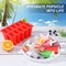 Popsicle Molds,Silicone Ice Pop Molds,BPA Free Popsicle Mold Reusable Easy Release Ice Pop Maker,Homemade Popsicle Mould with Silicone Funnel and Cleaning Brush (Red, 10 Cavities New)